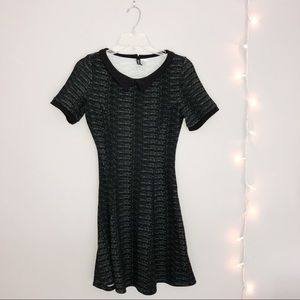 H&M Collared Dress
